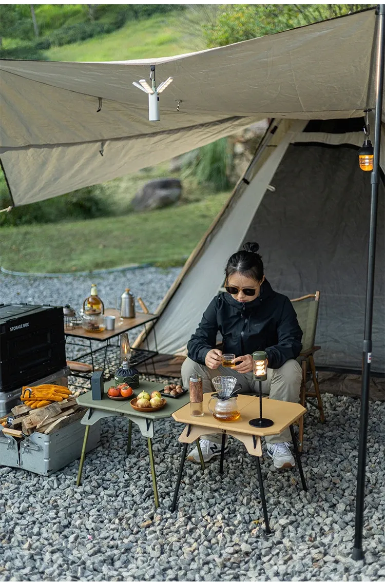 WESTTUNE ultraleichter Camping-Falttisch mit Doppelhöhe