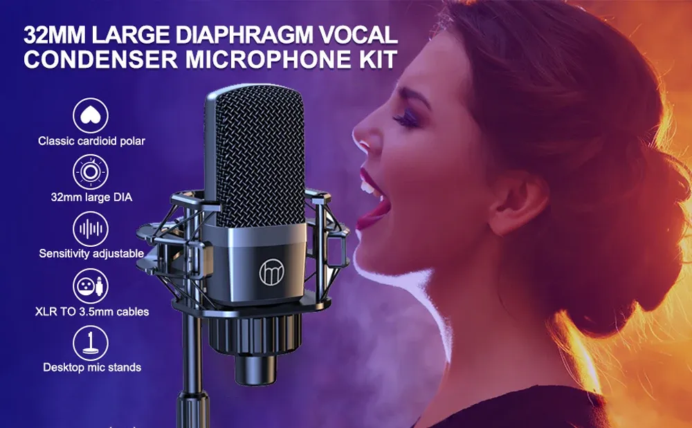 Haomuren P300 Mikrofon- und Soundkarten-Set für Streaming