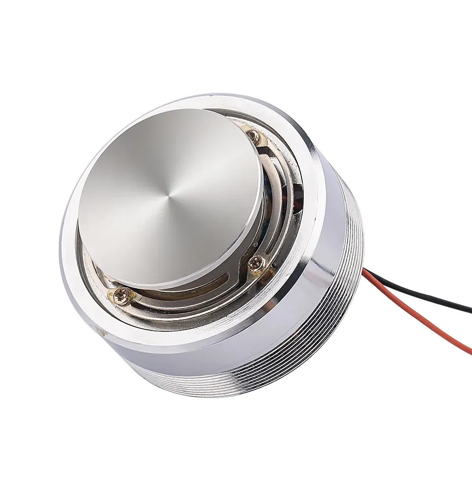 AIYIMA Full-Range Vibrationslautsprecher 25W/20W